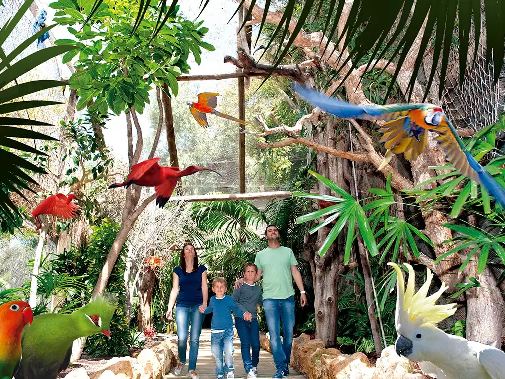 Jungle Park 2