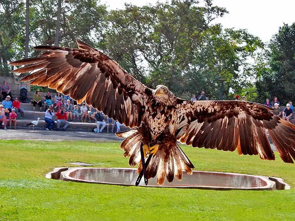 Jungle Park 3