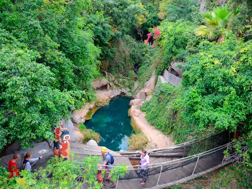 Jungle Park 9
