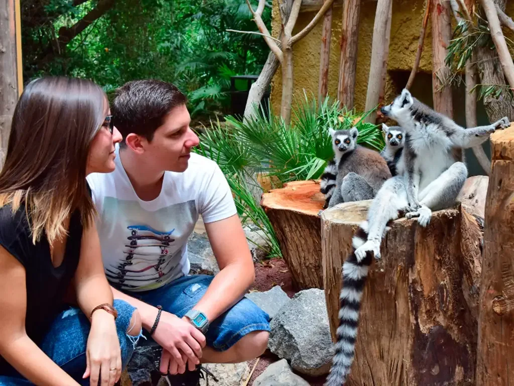 Jungle Park 10