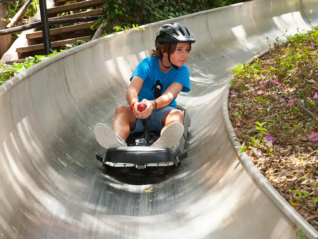 Jungle Park 11
