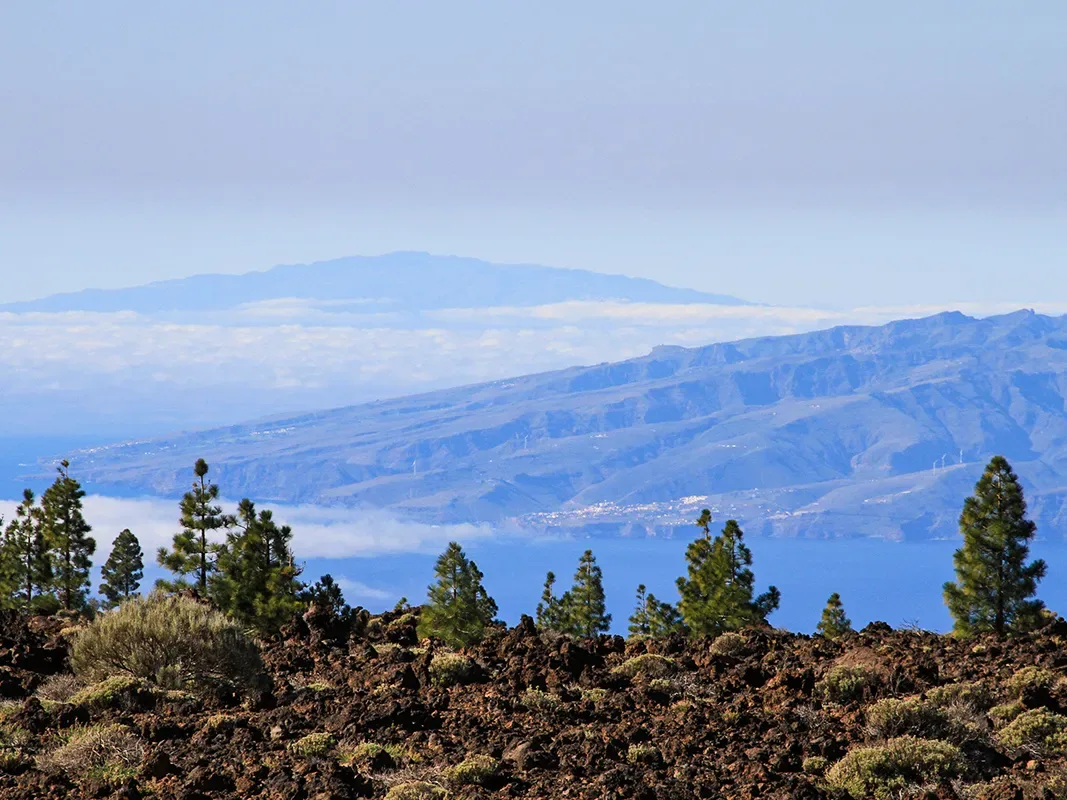 Mount Teide Half Day Tour 2