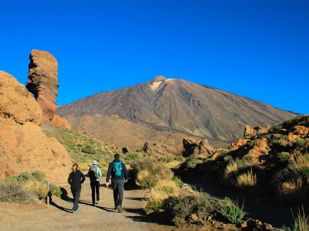Mount Teide Half Day Tour 3