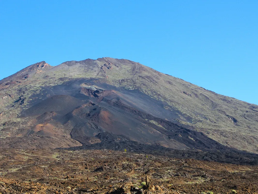 Mount Teide Half Day Tour 7