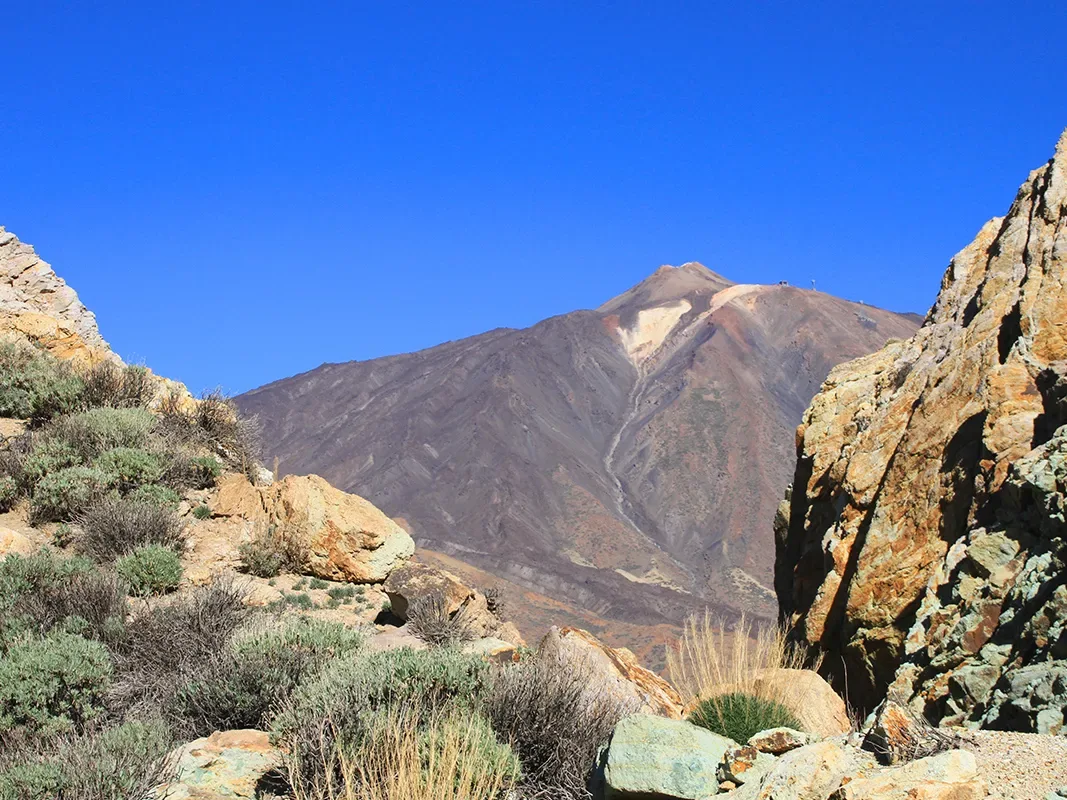 Mount Teide Half Day Tour 5