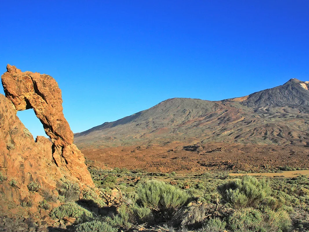 Mount Teide Half Day Tour 10