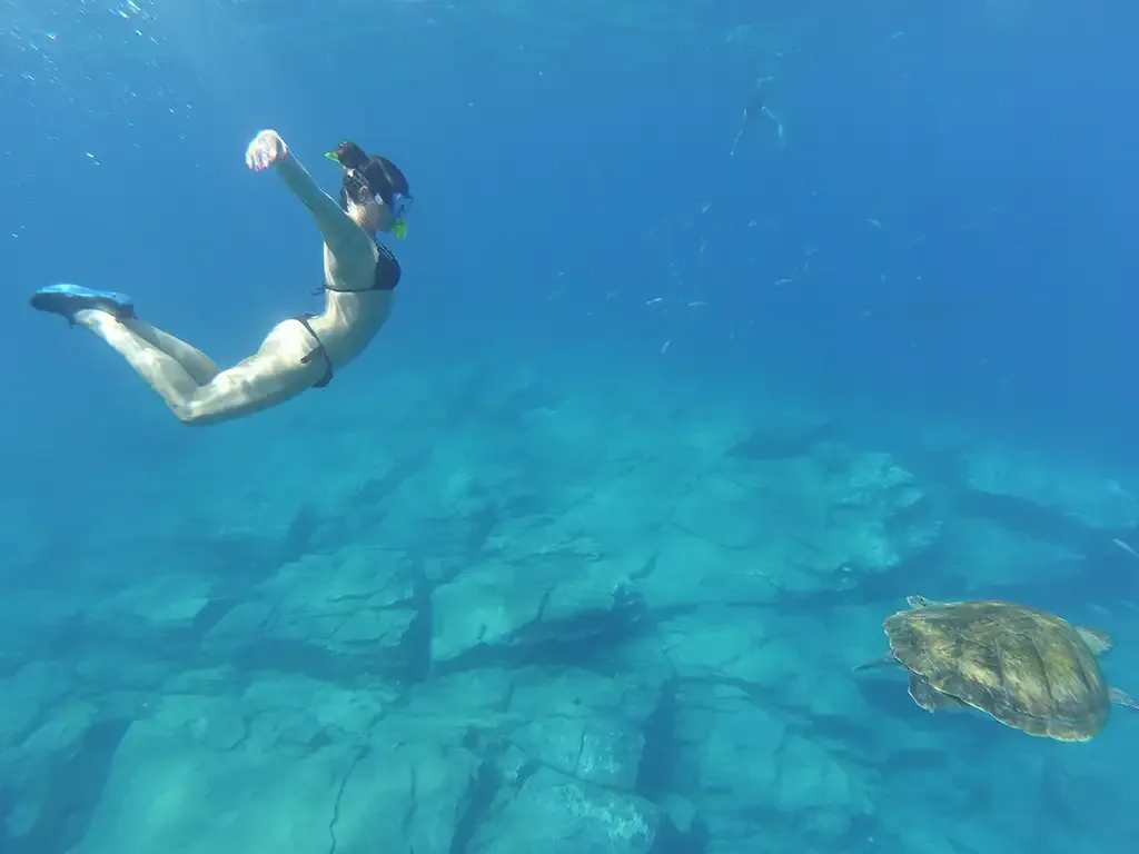 Kayaking & Stand Up Paddle Atlantis 8