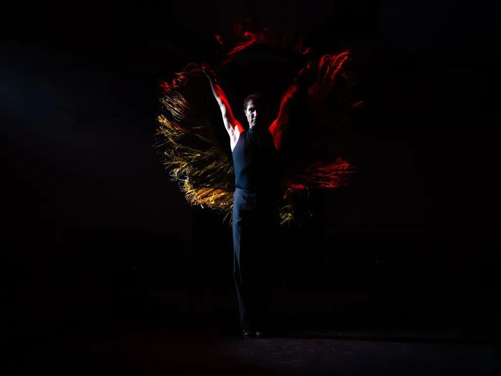 Olé Flamenco Show 2