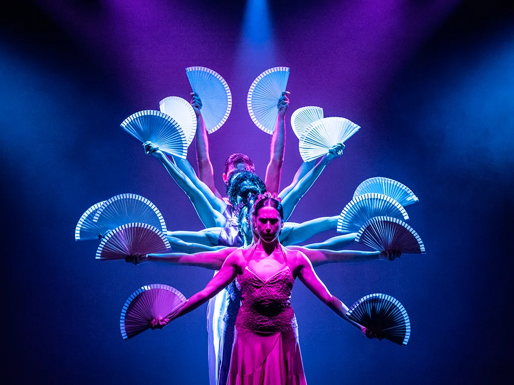 Olé Flamenco Show 8