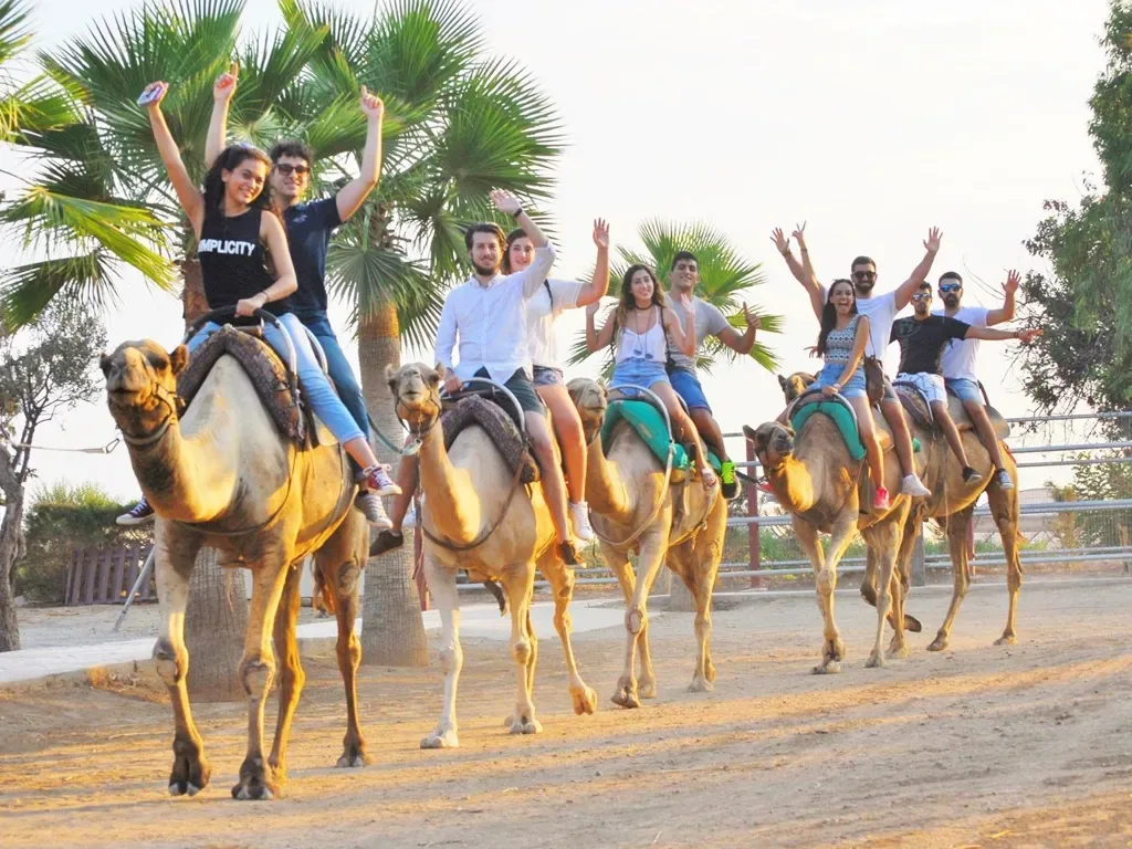 Camel Park 10
