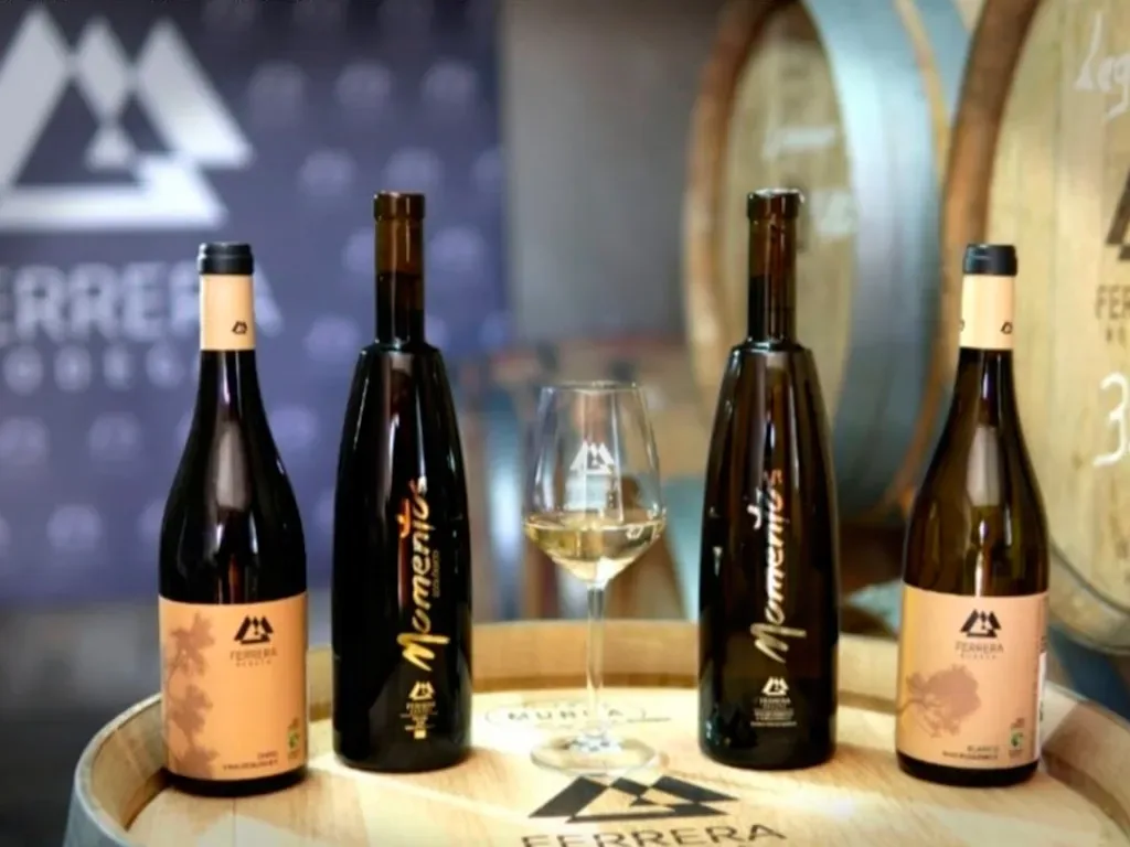 Bodegas Ferrera 6