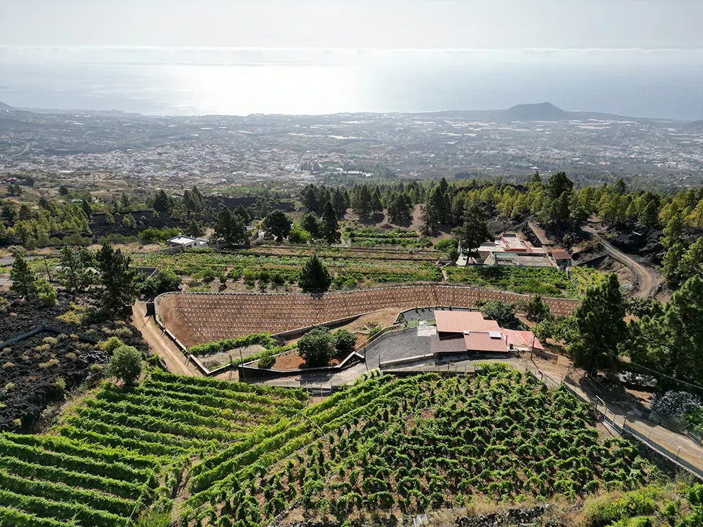 Bodegas Ferrera