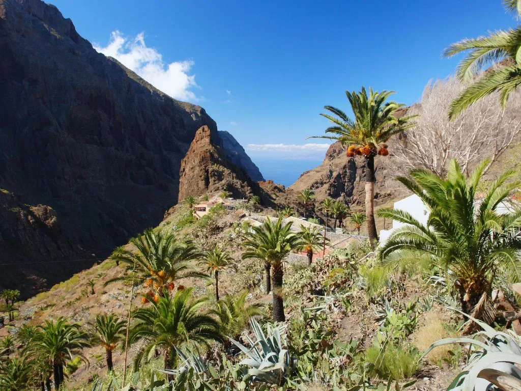 Exclusive Tenerife 5