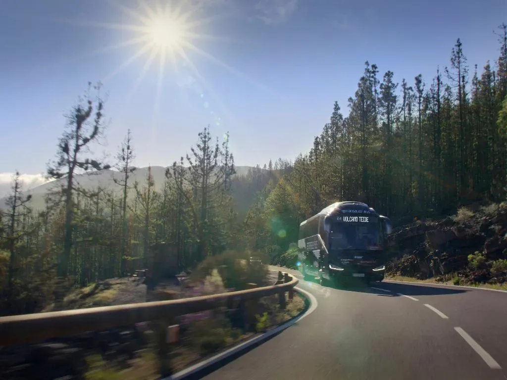 Teide Tour 5