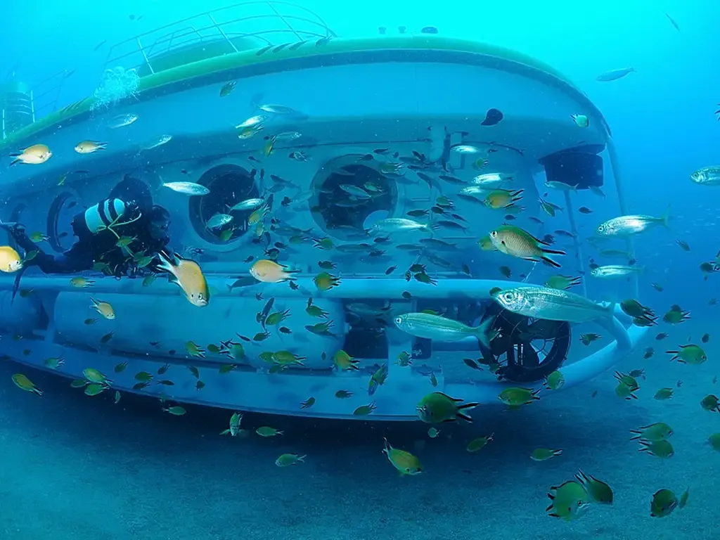 Submarine Safari 5