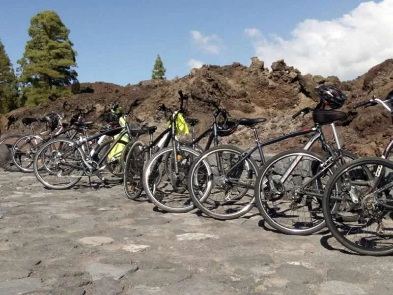 Downhill Bike Tour 11