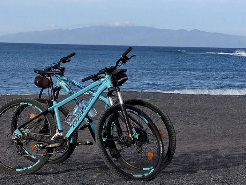 Downhill Bike Tour 12