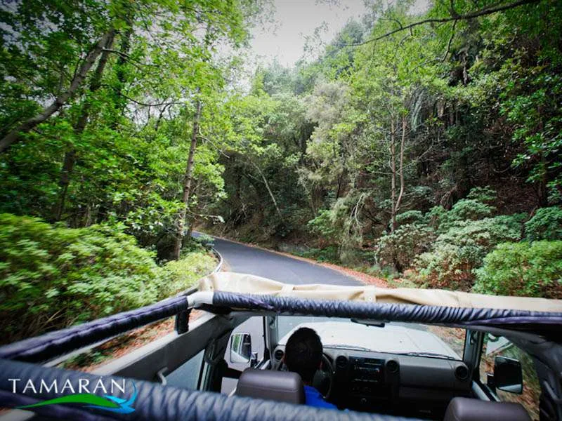 Jeep Safari La Gomera 5