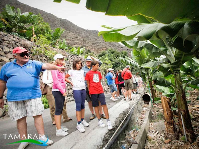 Jeep Safari La Gomera 7