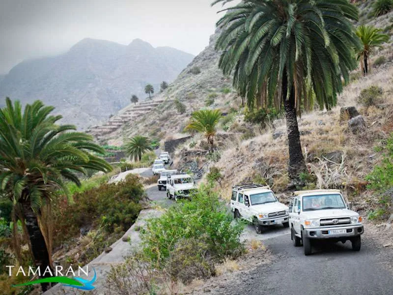 Jeep Safari La Gomera 2