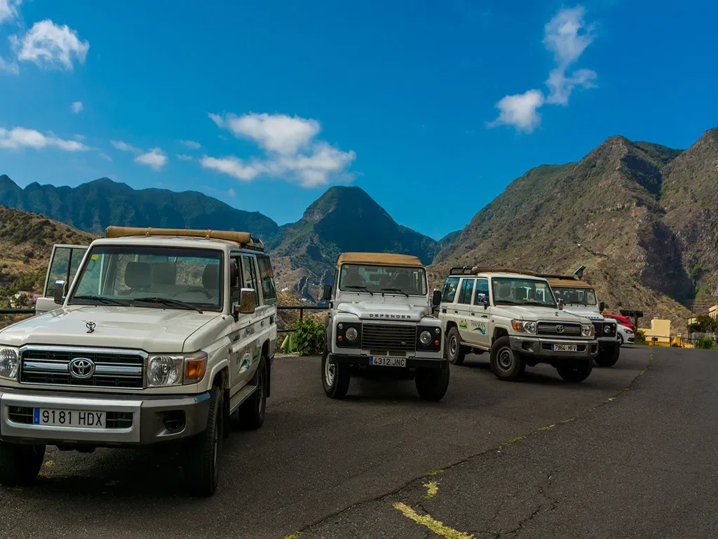 Jeep Safari La Gomera 13