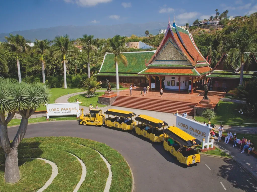 Loro Parque - All Inclusive 5
