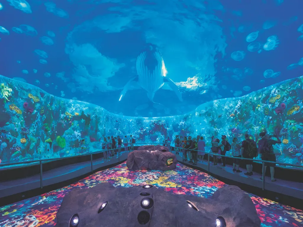 Loro Parque - All Inclusive 9