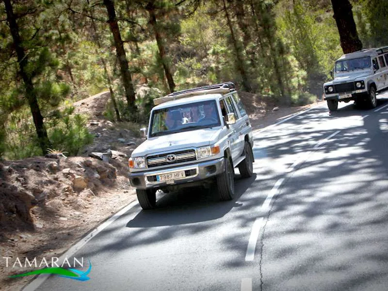 Jeep Safari - Teide Half Day 2
