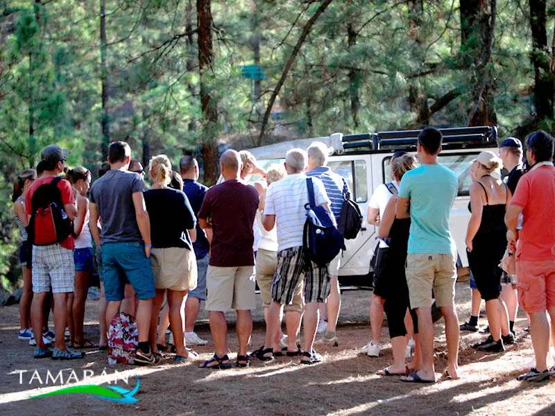 Jeep Safari - Teide Half Day 4