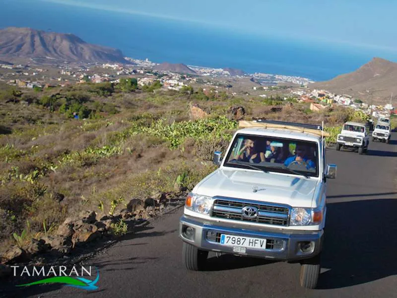Jeep Safari - Teide Half Day 6