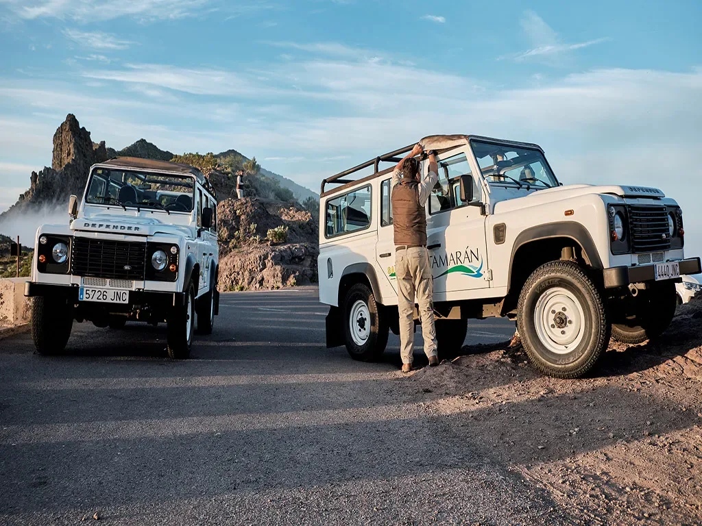 Jeep Safari - Teide Half Day 10