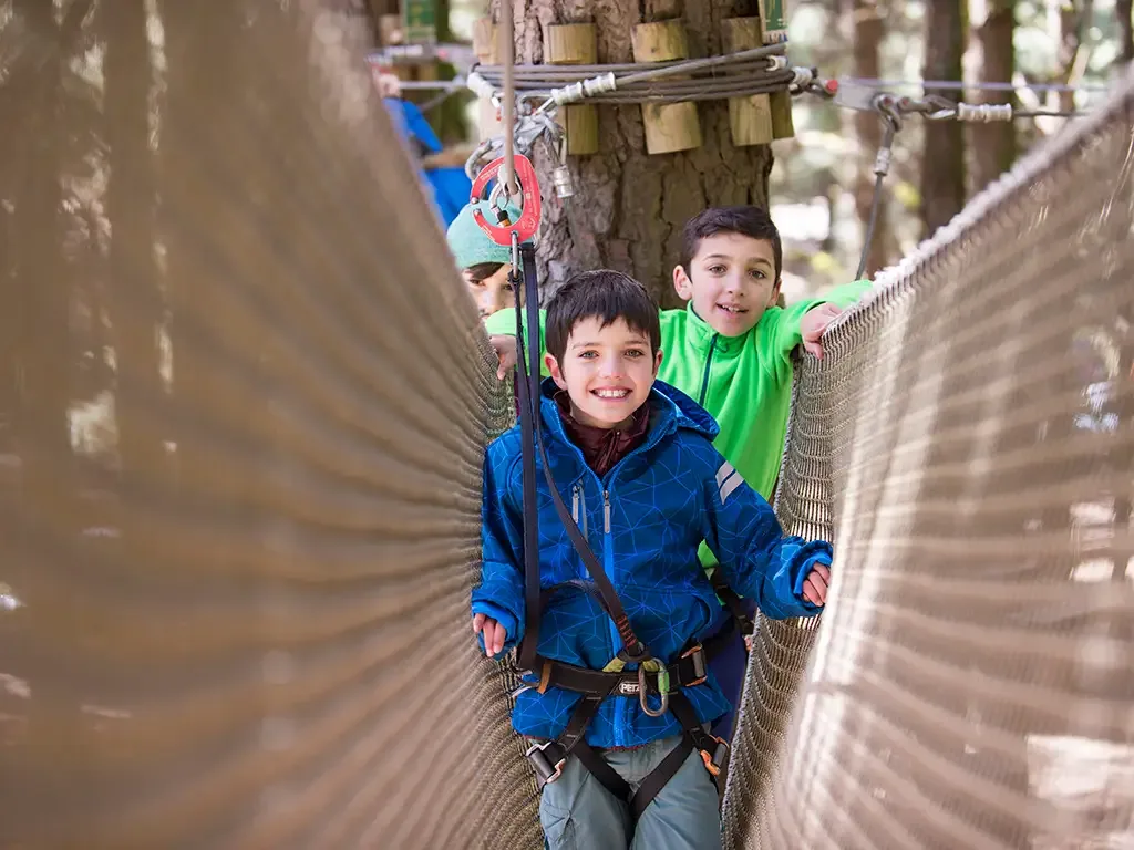 Forestal Park 6