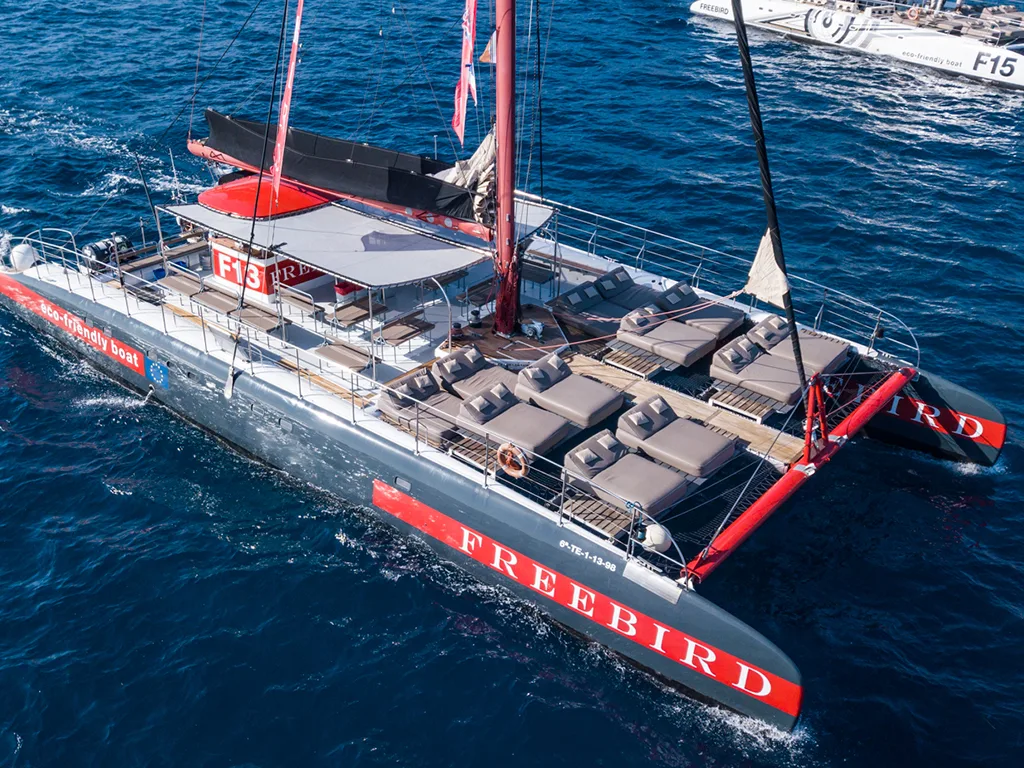 Freebird 7