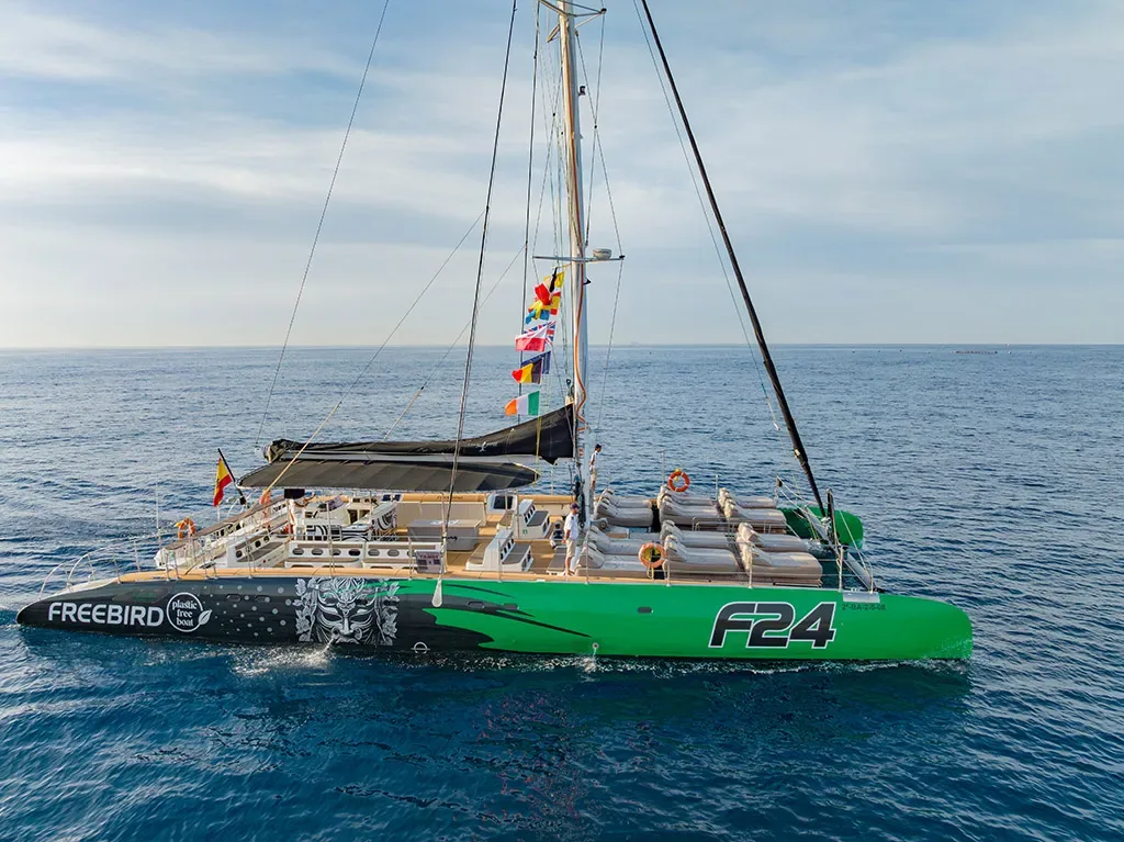 Freebird 13