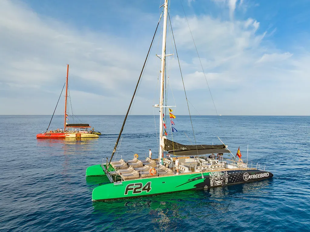 Freebird 14