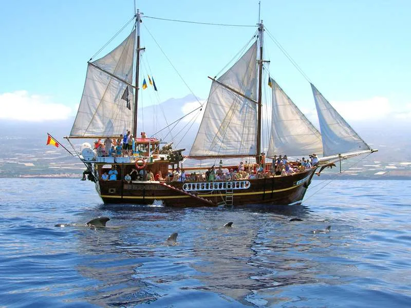 Flipper Uno 22