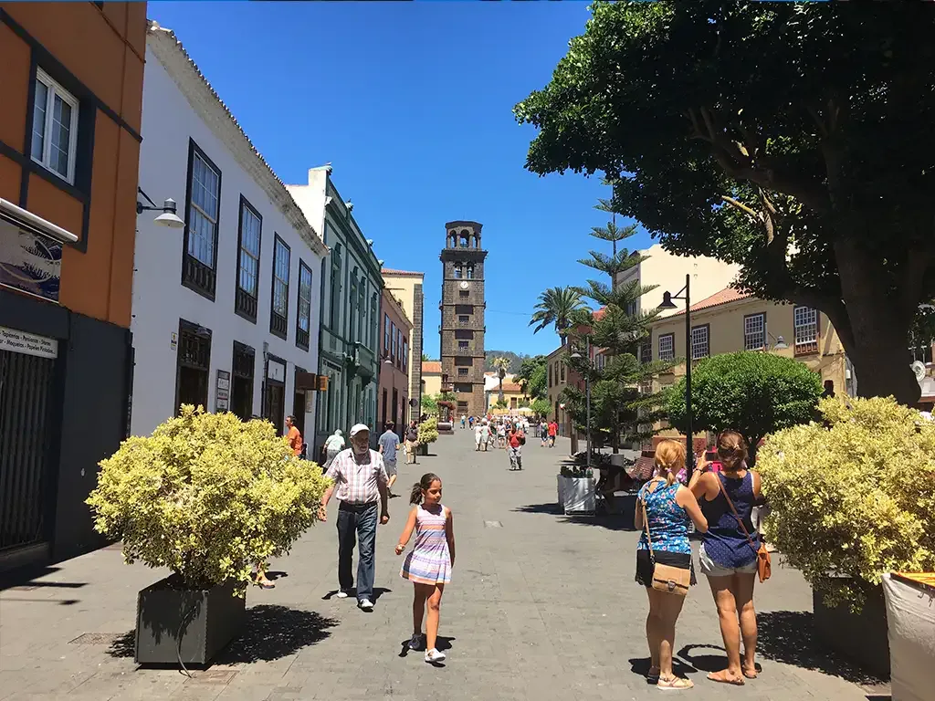 Santa Cruz, La Laguna and Laurisilva Forest 2
