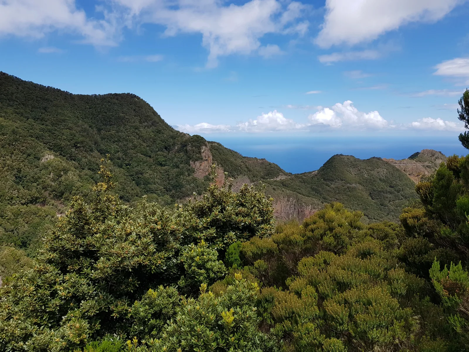 Santa Cruz, La Laguna and Laurisilva Forest 4