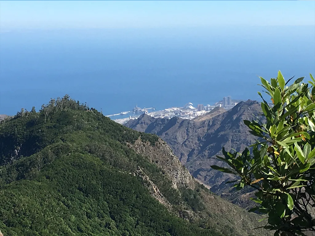 Santa Cruz, La Laguna and Laurisilva Forest 8