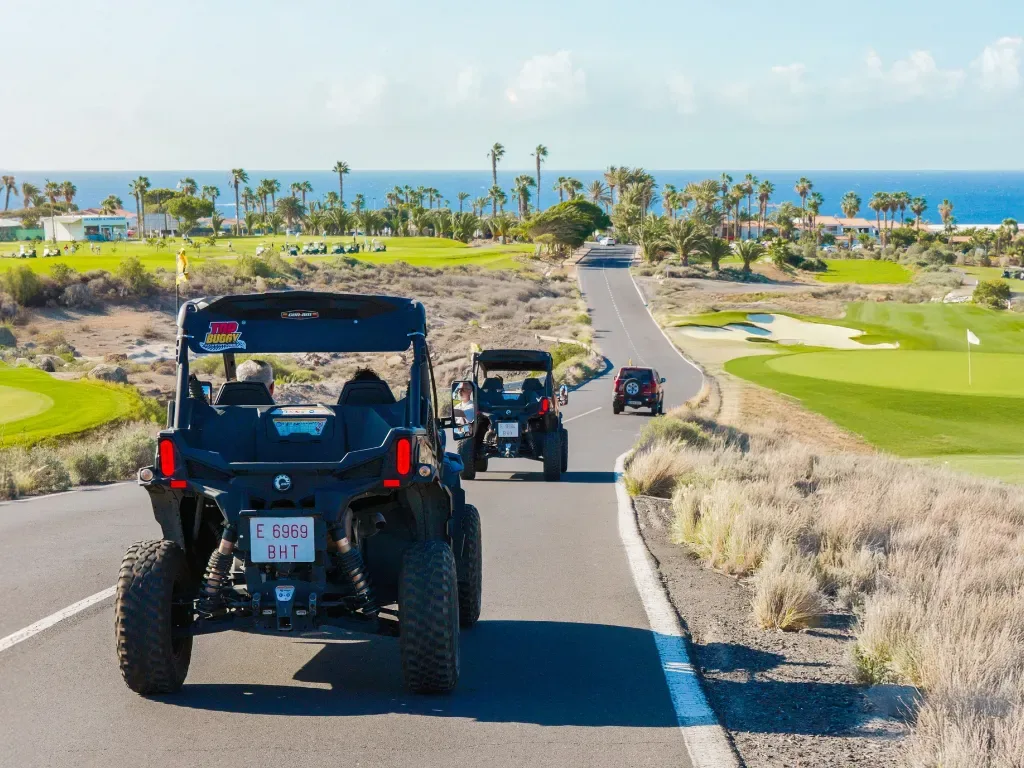 Top Buggy Adventure 3