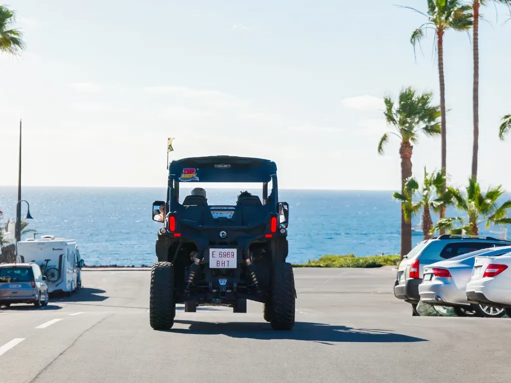 Top Buggy Adventure 6