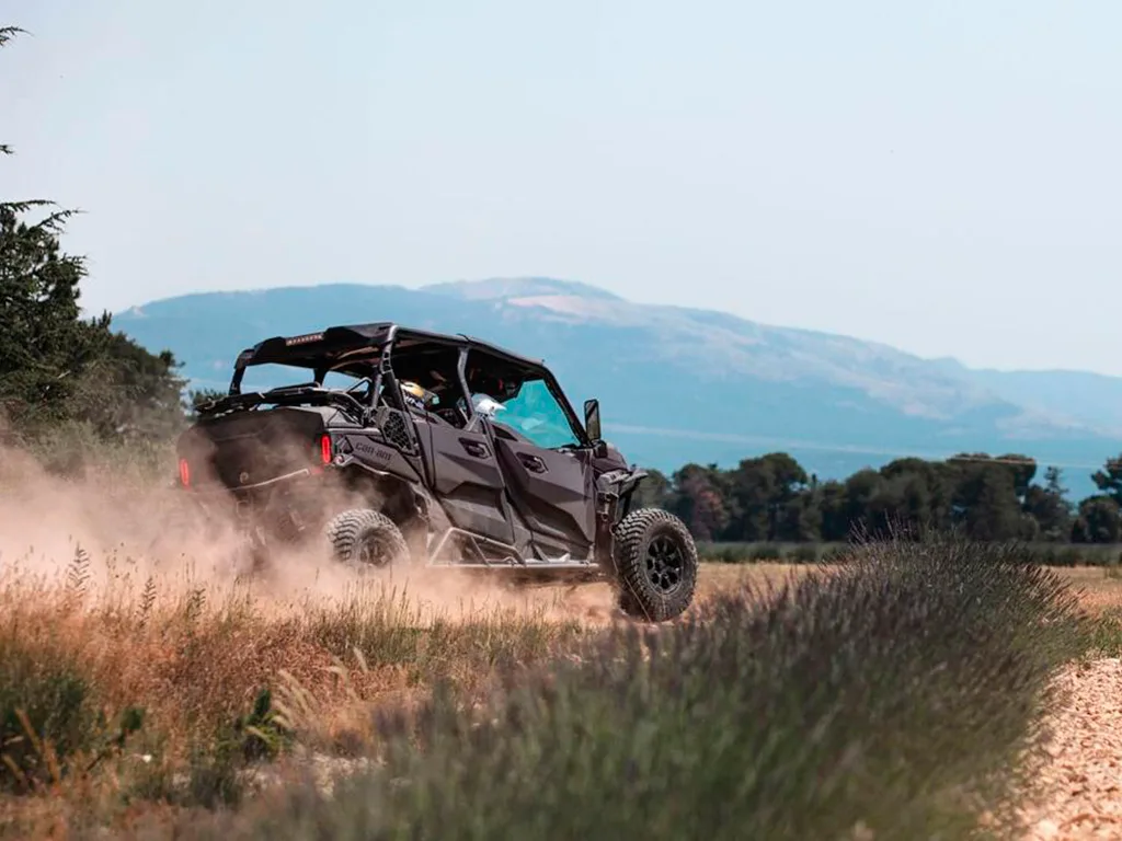 Top Buggy Adventure 14